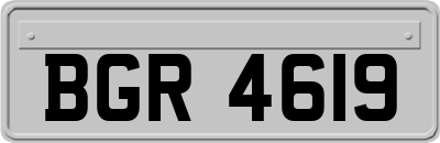 BGR4619