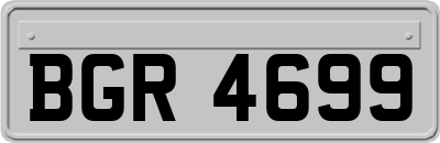 BGR4699