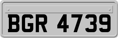 BGR4739