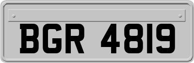 BGR4819