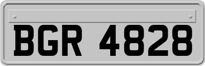 BGR4828
