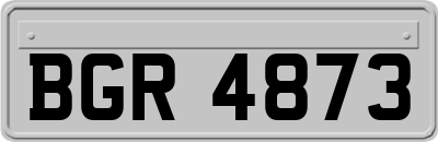BGR4873