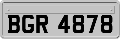 BGR4878