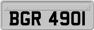 BGR4901