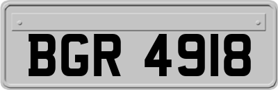 BGR4918