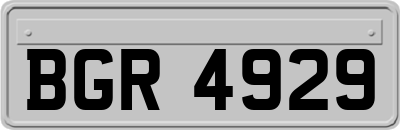 BGR4929