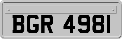 BGR4981