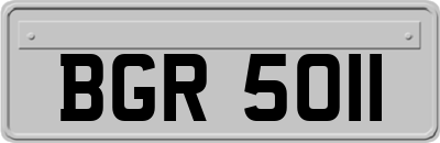 BGR5011