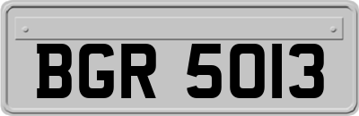 BGR5013