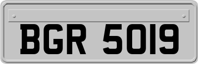BGR5019