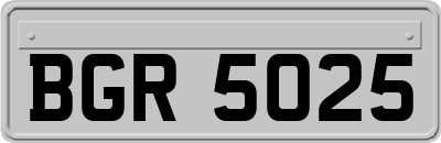 BGR5025