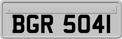 BGR5041