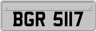 BGR5117