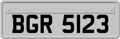 BGR5123