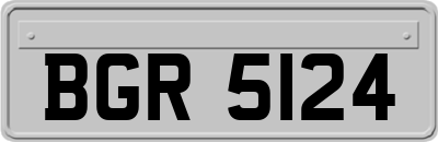 BGR5124