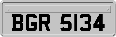BGR5134