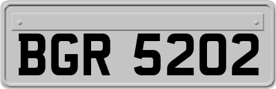 BGR5202