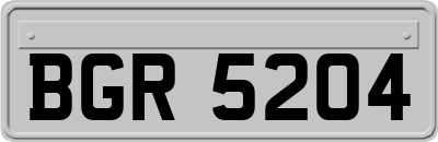 BGR5204