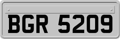 BGR5209
