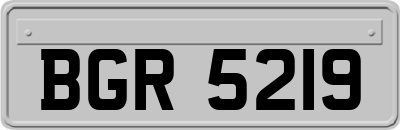 BGR5219