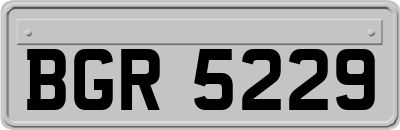 BGR5229