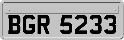 BGR5233