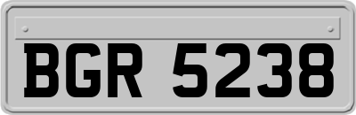 BGR5238