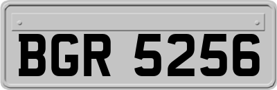 BGR5256