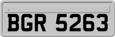 BGR5263