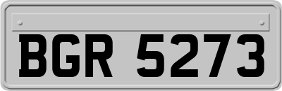 BGR5273