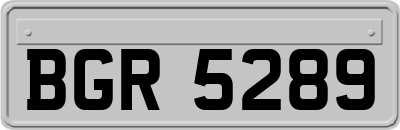 BGR5289
