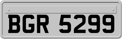 BGR5299