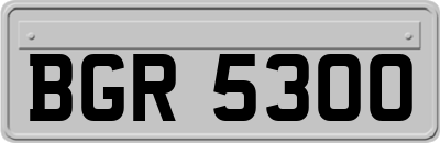 BGR5300