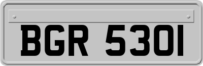 BGR5301