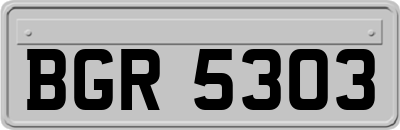 BGR5303
