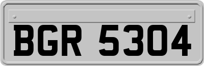 BGR5304