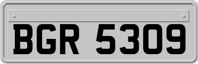 BGR5309