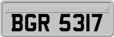 BGR5317