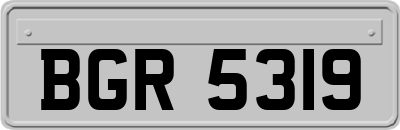 BGR5319