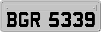 BGR5339