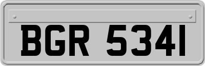 BGR5341
