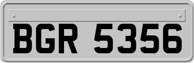 BGR5356