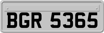 BGR5365
