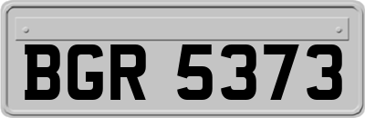 BGR5373