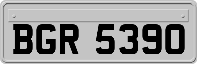 BGR5390