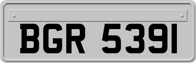 BGR5391