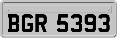 BGR5393