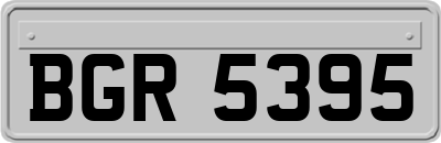 BGR5395