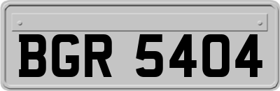 BGR5404