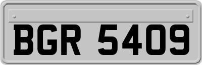 BGR5409